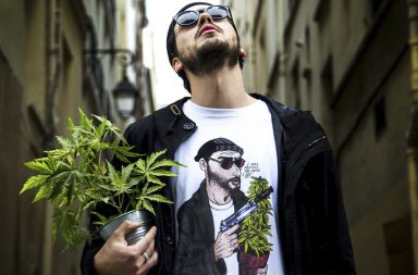Tealer Clothing Brand