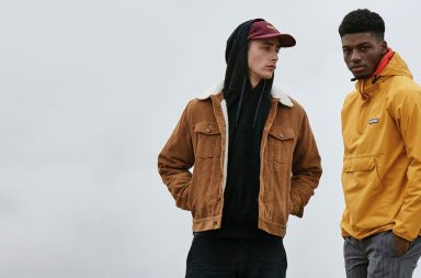 dickies